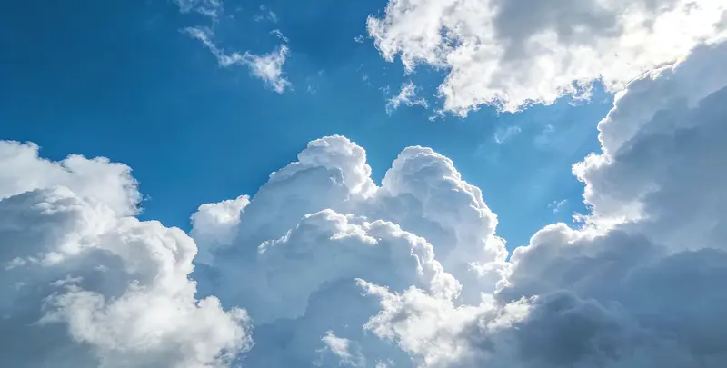 肺癌119基因检测图2