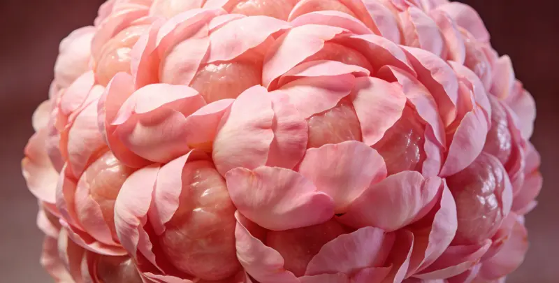 黔东南BRCA1/2乳腺癌卵巢癌基因检测图片1